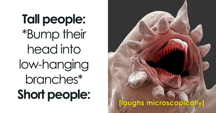 9 Micro-Memes To Make You Micro-Laugh