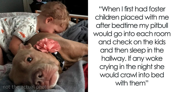 50 People Are Sharing The Most Wholesome Things They Have Seen