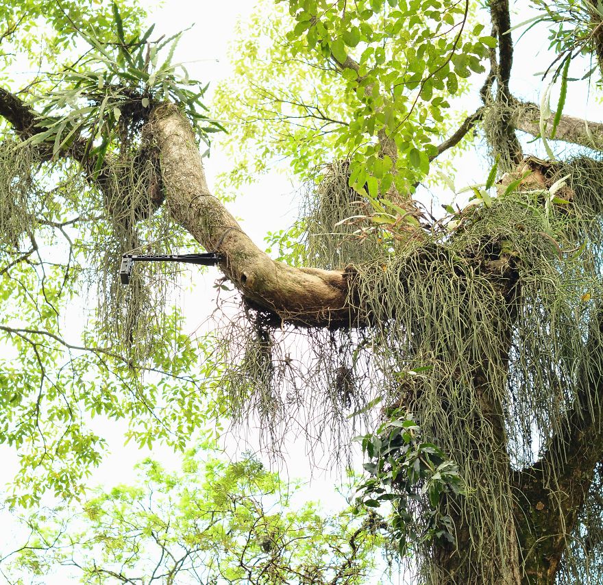 Rio De Janeiro Photos, Parks In Rio