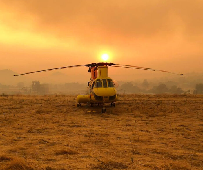 Owl Casually Flies Into Helicopter That's In Flight Over Californian Wildfires