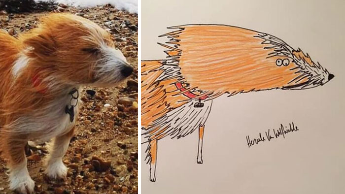 Man Who’s Never Drawn In His Life Does Crappy Pet Portraits For Charity And Raises Over £13.6k (30 New Pics)
