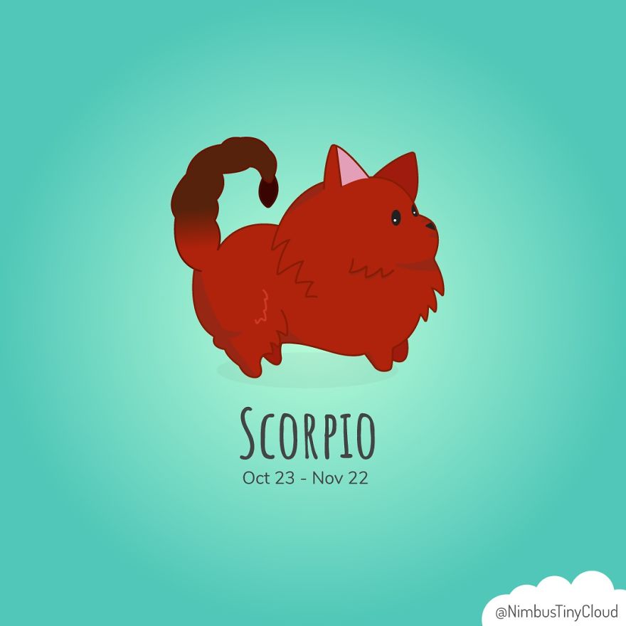 Inspired By My Pomeranian, I Created "Poms Of The Zodiac"