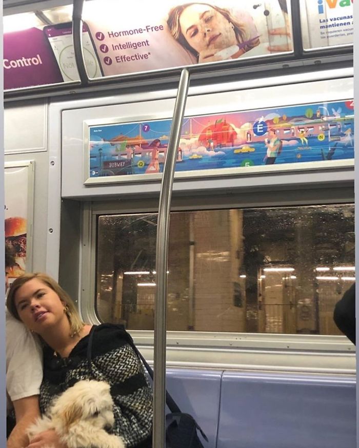 People Sitting Under Signs That Resemble Them