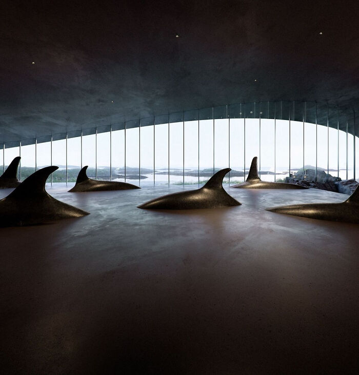 Impressive Whale Watching Museum To Be Opened In Norway And The Images Look Majestic