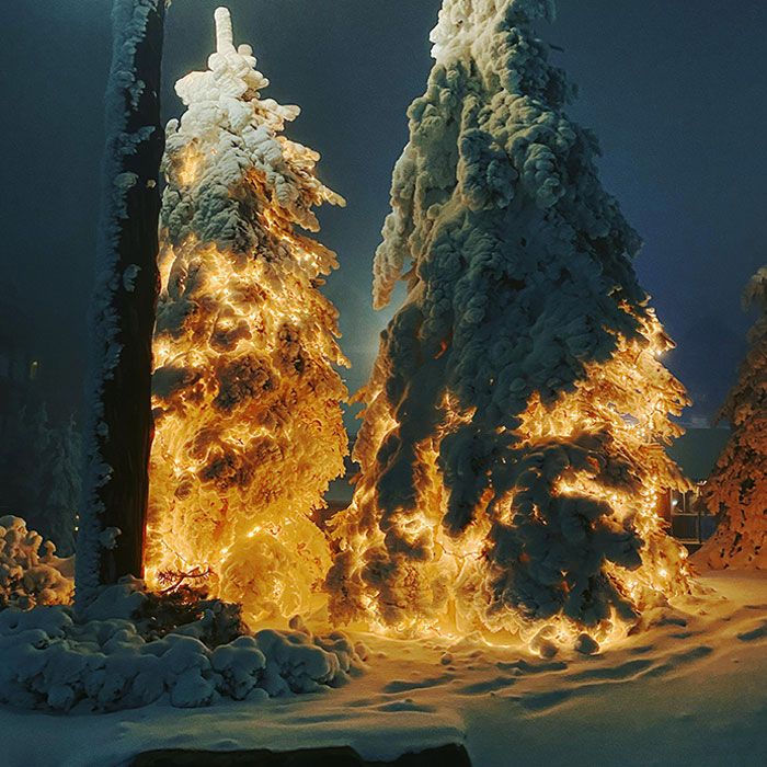 Árboles con luces navideñas bajo la nieve que parecen el lanzamiento de un cohete