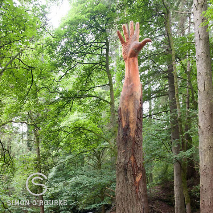 Storm-Damaged Tree In Wales Gets Transformed Into A 50 Ft Hand Worth $16,000