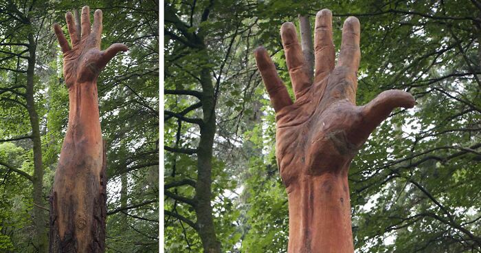 Storm-Damaged Tree In Wales Gets Transformed Into A 50 Ft Hand Worth $16,000