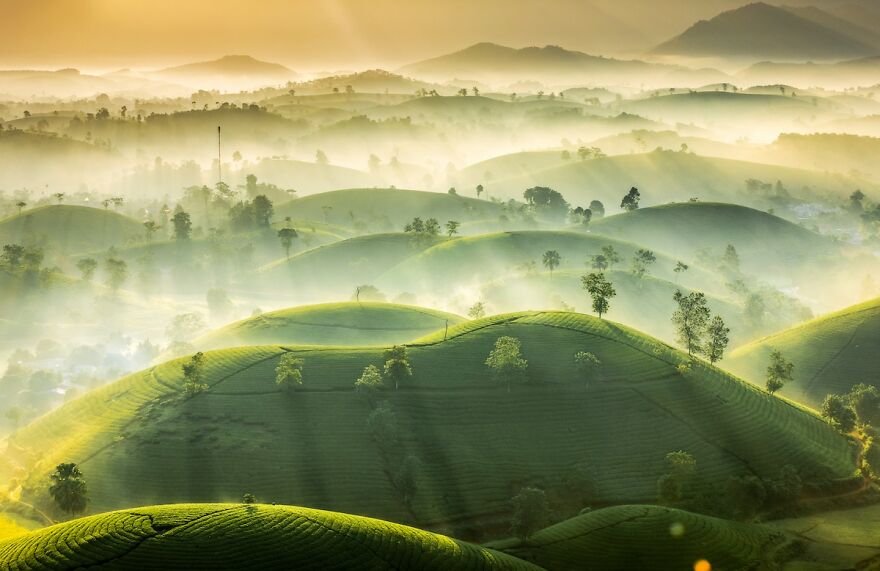 Weather Photographer Of The Year 2020: 2nd Place 'Tea Hills' By Vu Trung Huan