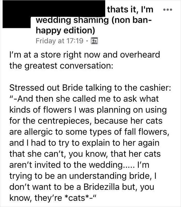 4 Weddings And A Cat Party