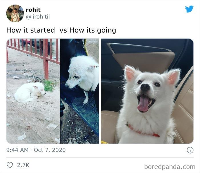 Wholesome-How-It-Started-vs.-Ended-Posts