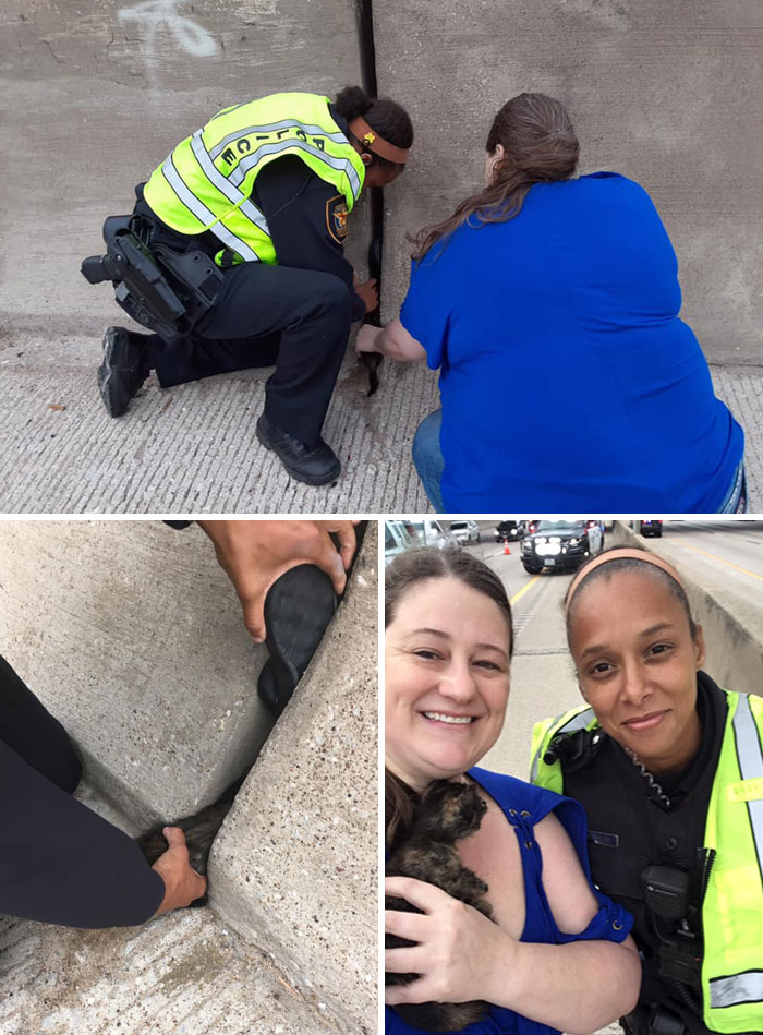 Woman Spotted Kitten Stuck In Highway Barrier. Spent 45 Minutes To Rescue