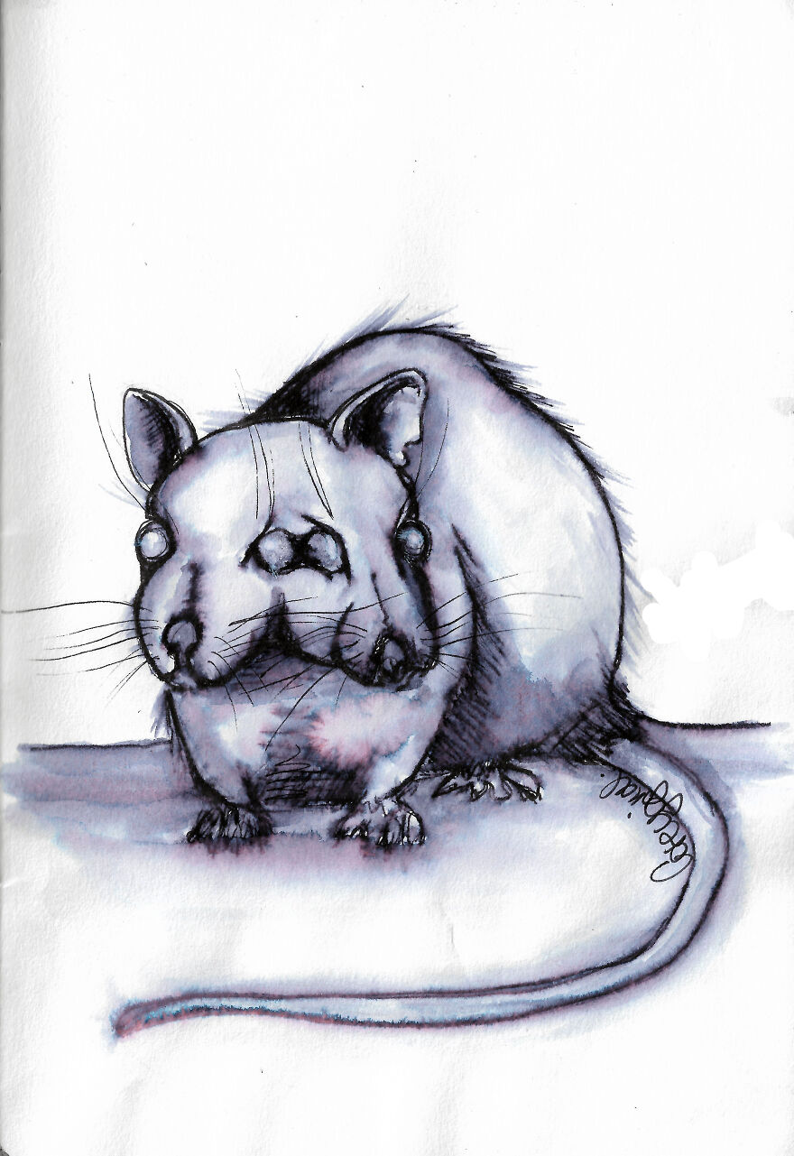 Day 6 - Rodent