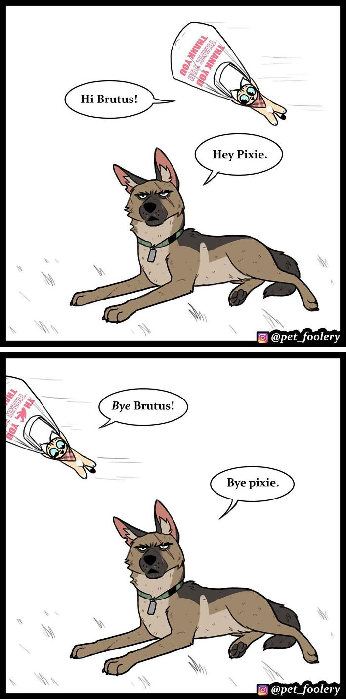 15 New Hilariously Adorable Comics About Brutus And Pixie To Instantly Make Your Day