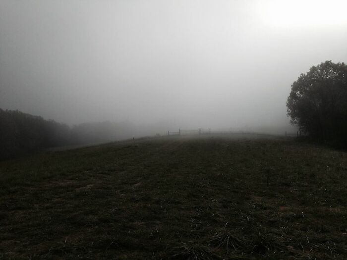 High Pasture In Mist