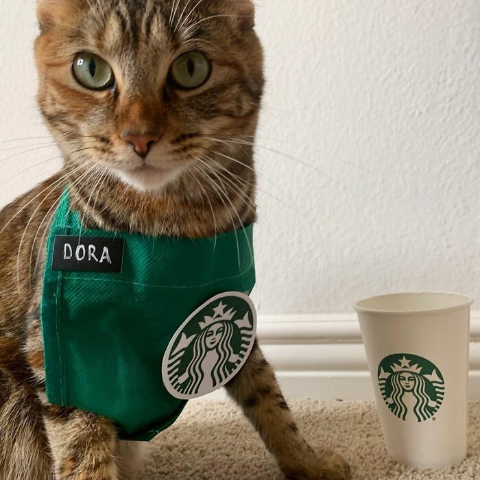 I Alwayz Wanted To Be A Starbuckz Puuuurrrista