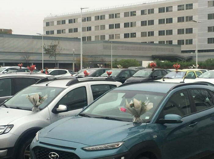 This Florist Places Hundreds Of Bouquets On Caregivers' Cars In A Hospital Parking Lot After Being Forced To Throw Away Unsold Flowers