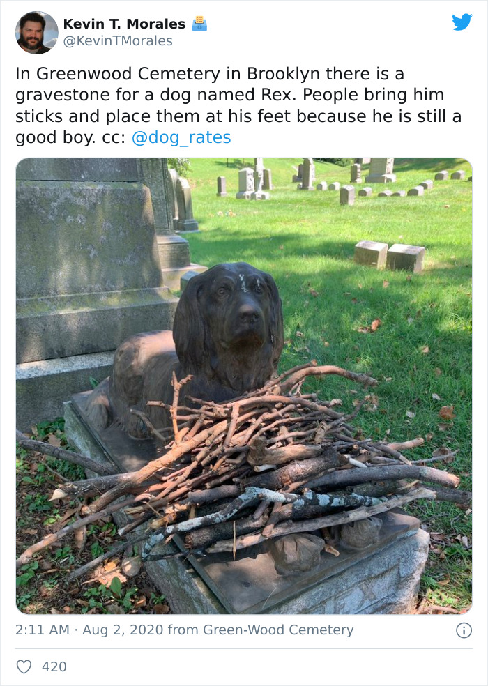 People Are Leaving Sticks At A Cemetery To Pay Tribute To This Dog Who Died 100 Years Ago