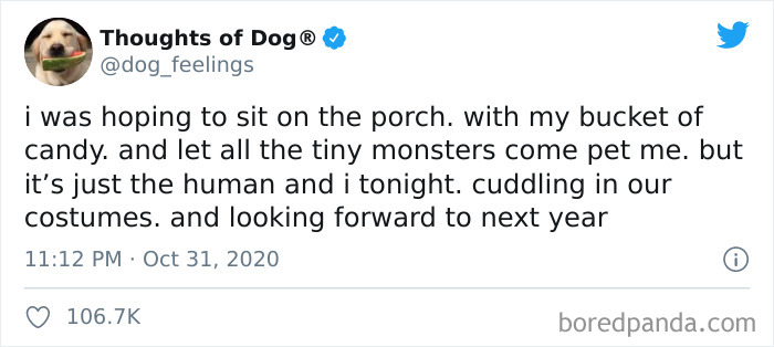 Hilarious-Dog-Thoughts-Tweets