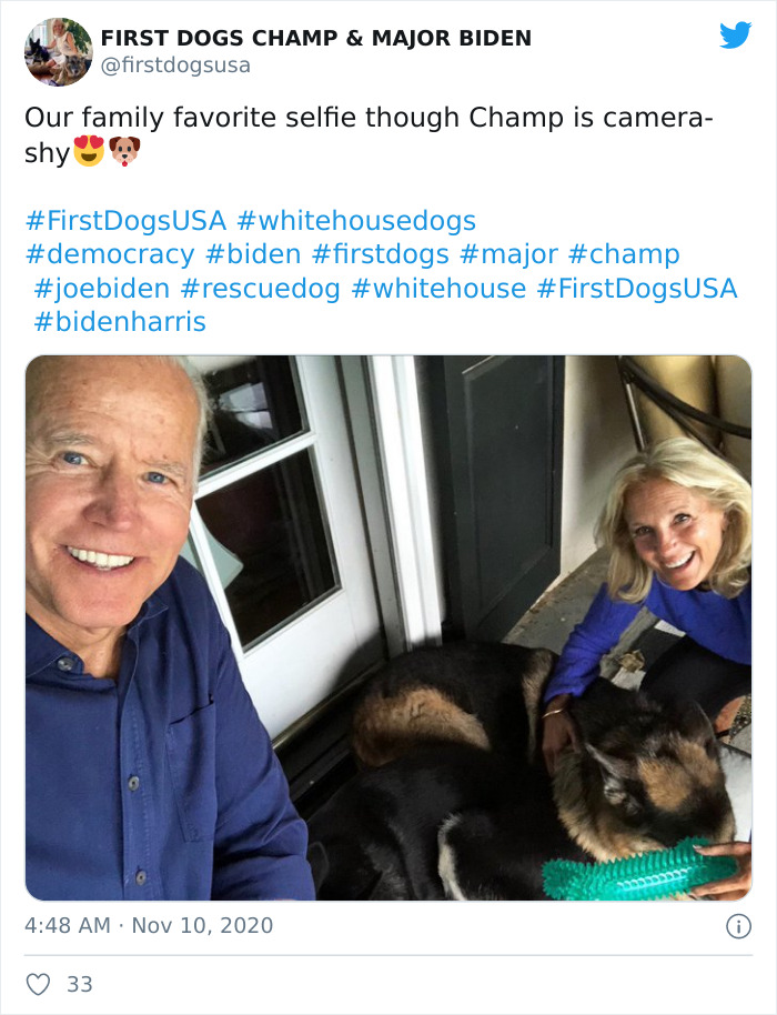 Joe Biden’s Dogs Have Twitter And Instagram Accounts And The Content Is Wholesome