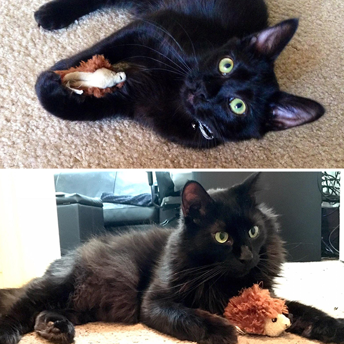 Three Years Later, His First Toy Is Still His Favorite