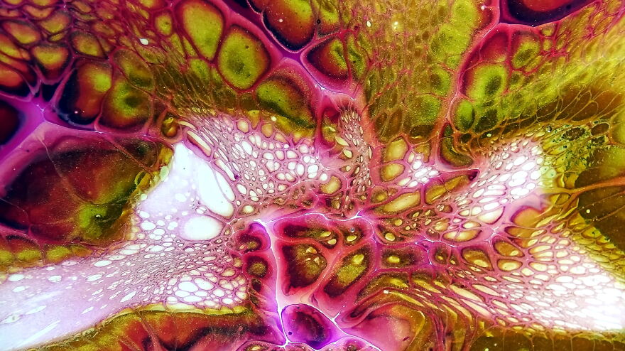 Modified Bloom ~ Acrylic Pour Painting ~ Fluid Art Modified Bloom ~ Acrylic Pour Painting ~ Fluid Art