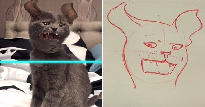 wrijving zelf Nieuwjaar 17 Funny Illustrations Of Cats And Dogs After They Were Captured With The  Time Warp Scan Filter, Drawn By An Artist On TikTok | Bored Panda