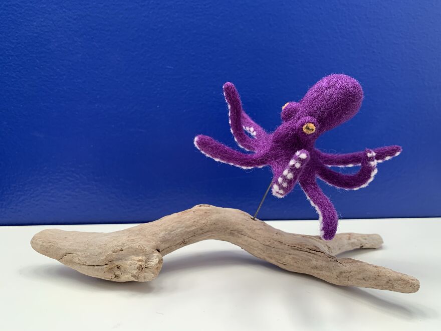 Octopus On Driftwood