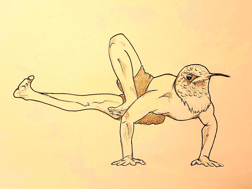 Yoga Animals