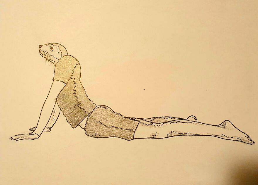 Yoga Animals