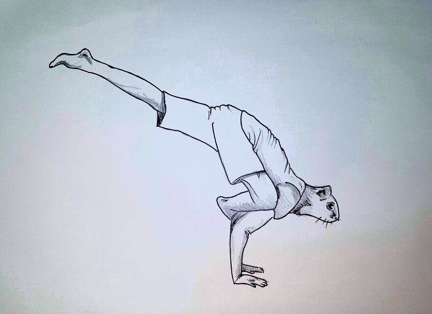 Yoga Animals