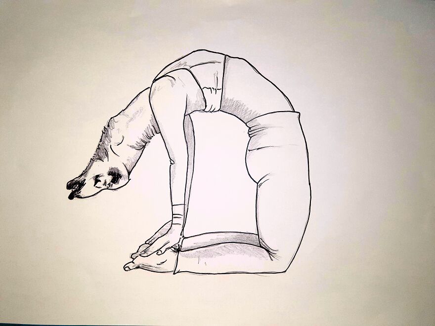 Yoga Animals