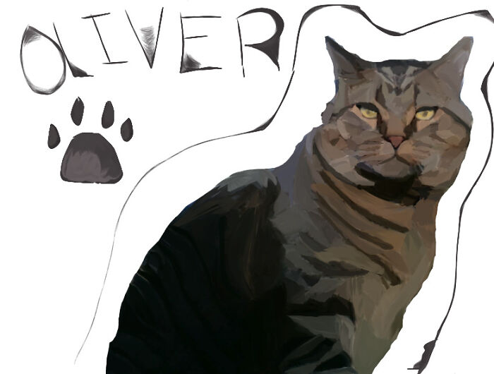 Cat Drawings On Kleki