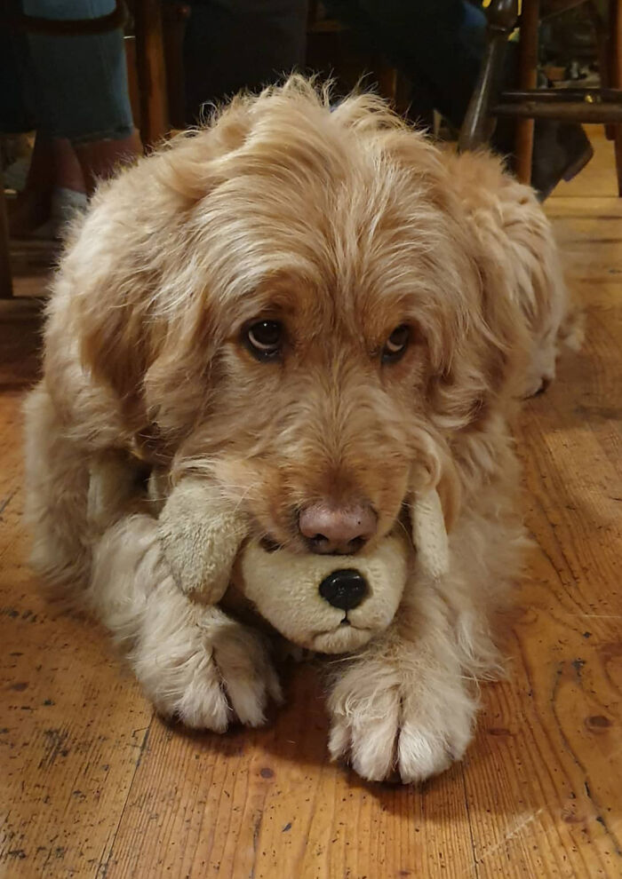 My Girl Molly With Her Favourite Toy