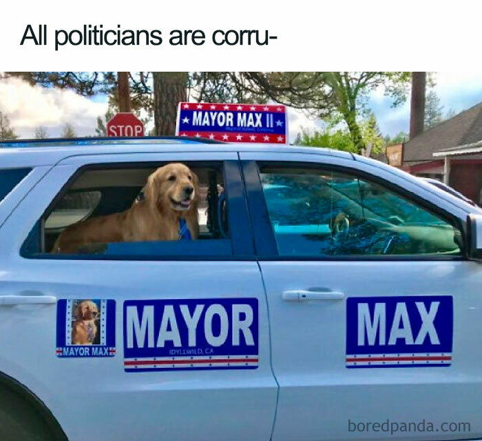 Dog Is Da Mayor; He Do Be Good Tho