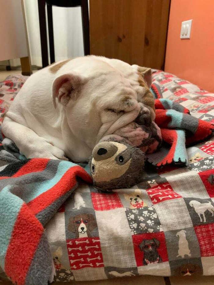 My Girl’s Favorite Toy Is Currently A Little Sloth Lol She Won’t Let It Out Of Her Sight!
