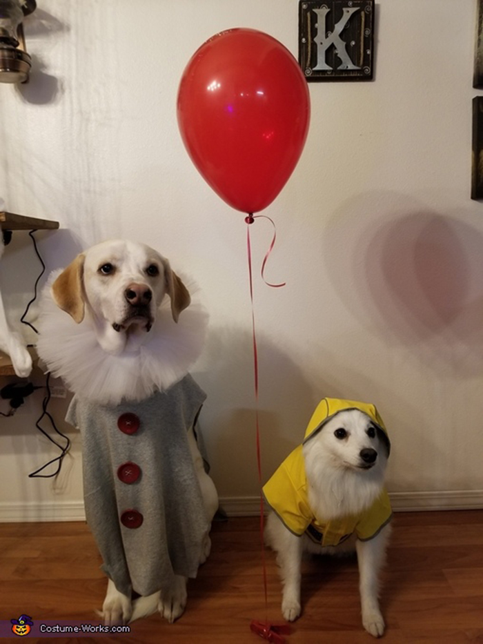 I Got The Idea From The Movie "It" And I Have Two Sweet, Very Tolerant Dogs Who Allowed Me To Do It 😊
