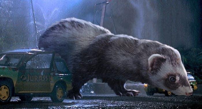The same hilarious pictures from the movie were recently shared on the internet where the Dinosaurs were replaced with Ferrets