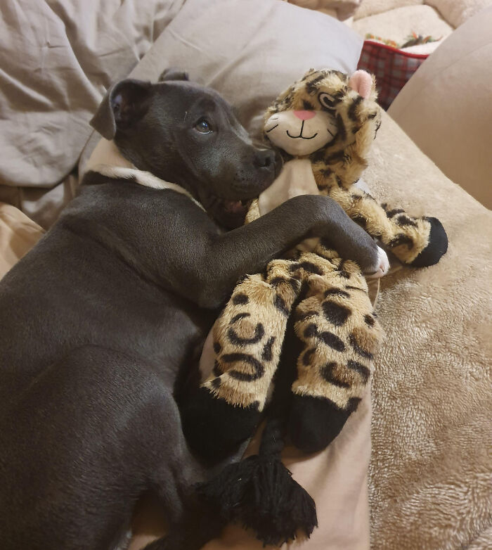 Wanted To Show Off My Baby With Her Favourite Toy
