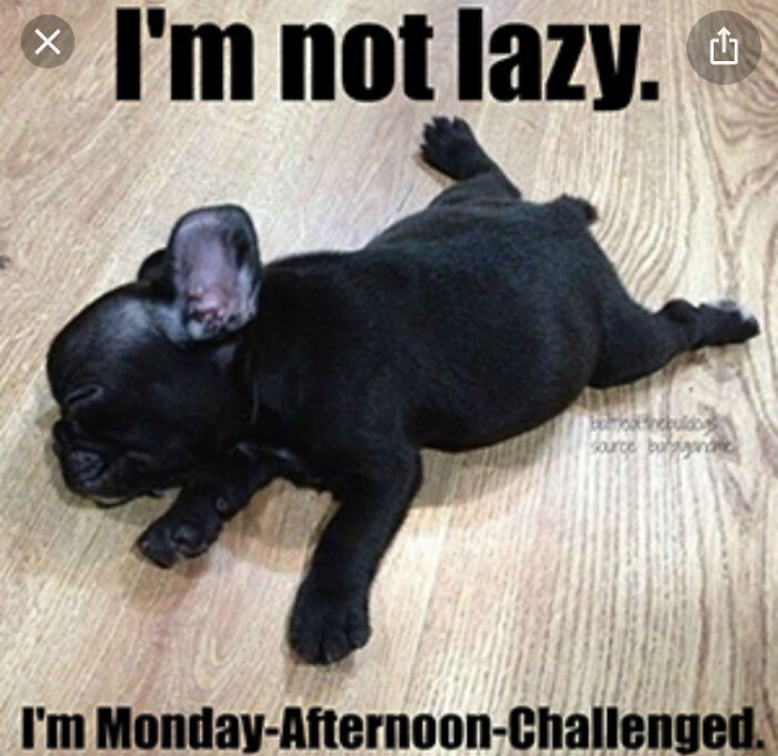I’m Not Lazy!