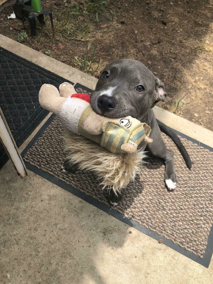 She’s Always Bringing Toys With Her