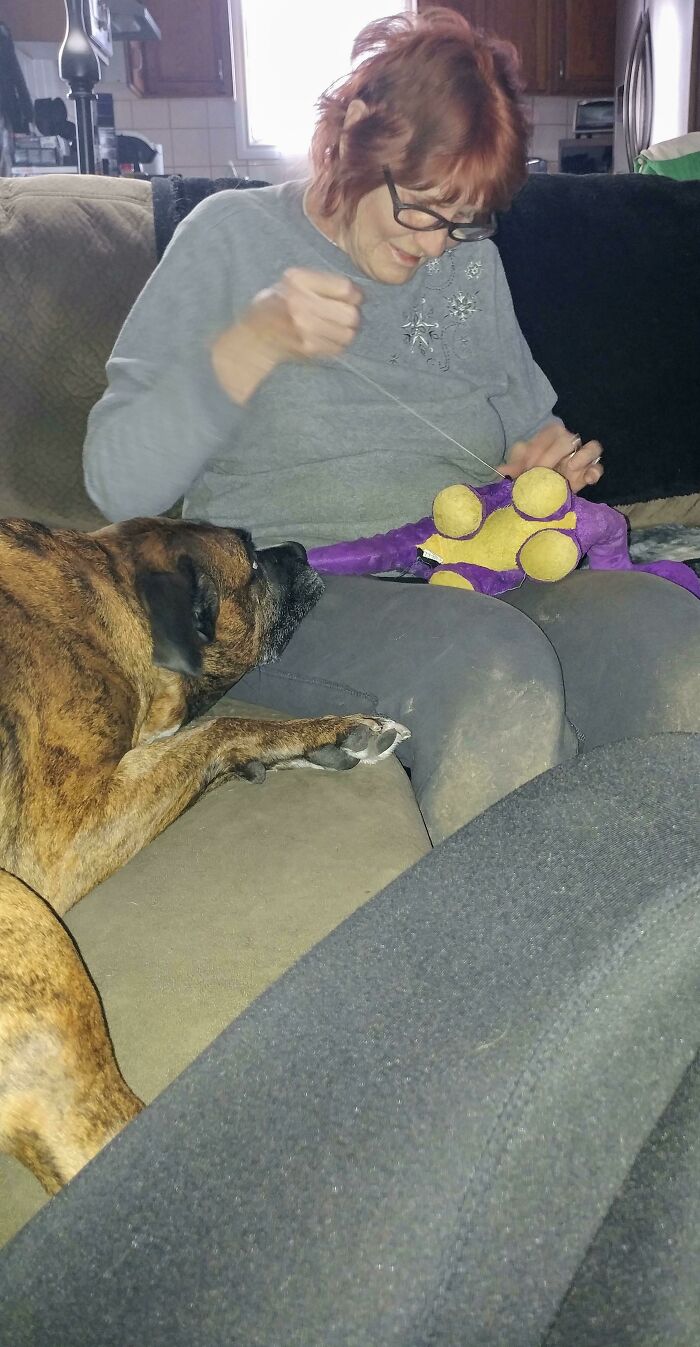 My 7yr Old Girl That I Rescued 4 Years Ago Waiting Ever So Patiently For My 79yr Old Grandma To Fix One Of Her Favorite Toys