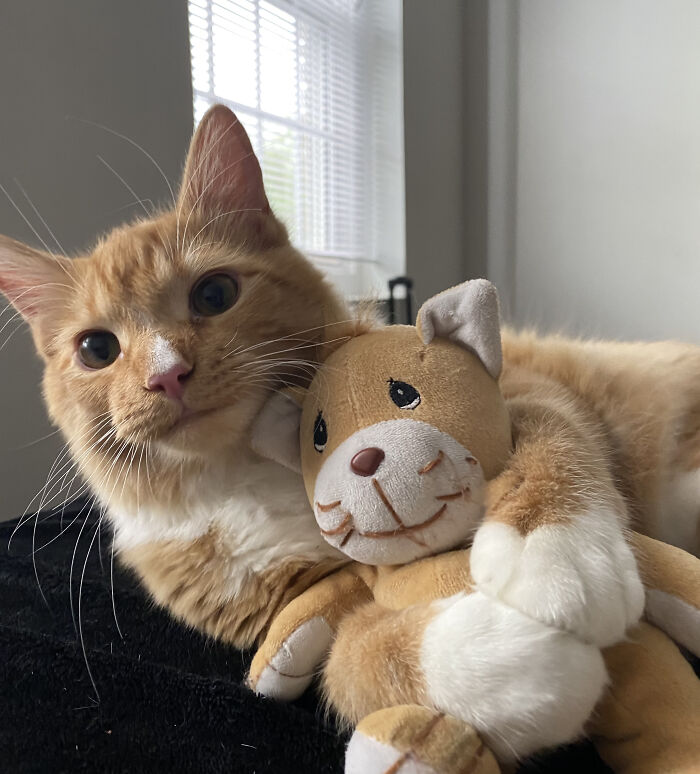 Charlie’s Favorite Toy Is One That Looks Just Like Him