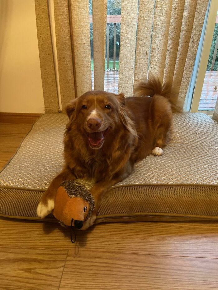 My Girl Turned 9 Today. She Couldn’t Stop Smiling When She Got Her New Toy