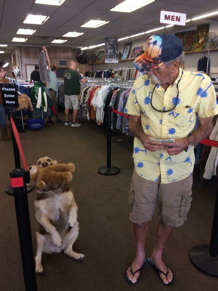 He Came In To The Thrift Store With His Toy And Then His Owner Asked Him Do A Trick For My Photo! Made My Day