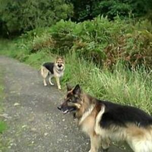 lindawhitelock avatar