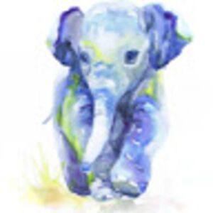 taylormyers_1 avatar