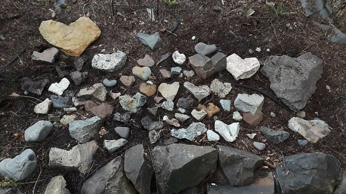 Heart Shaped Rocks A Friend Has Collected Over Six Years