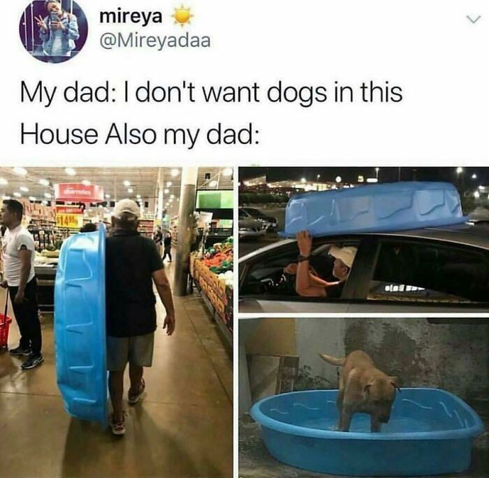 Wholesome Dad