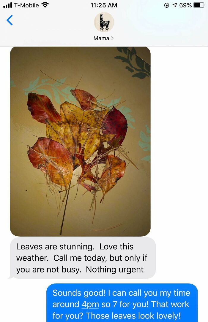 My Mom Texted Me A Picture Of Leaves She Collected That Made Her Happy. It’s Been A Long And Lonely Week So Needless To Say I’m Looking Forward To Our Call