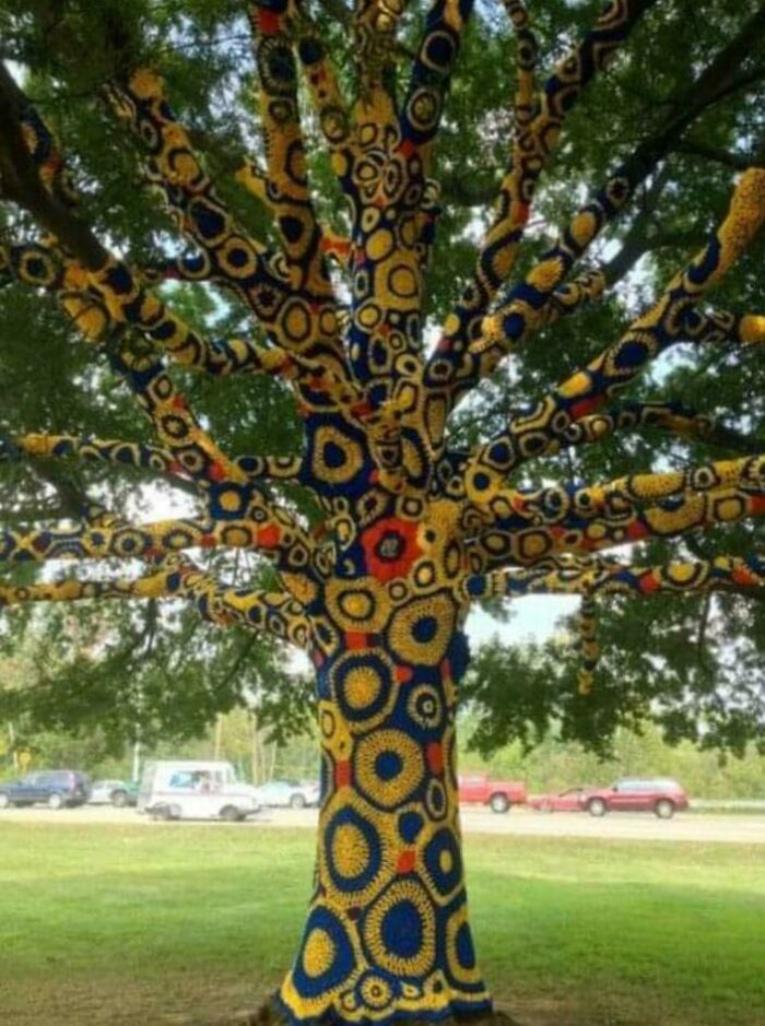 Crochet For Trees In Morgantown, West Virginia. USA